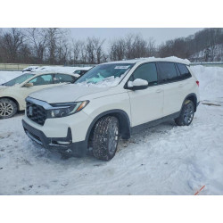 2023 HONDA PASSPORT 5FNYF8H54PB007710 74611045