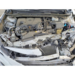 2023 TOYOTA CAMRY 4T1C31AK5PU052085 74202345