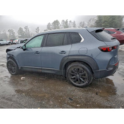2025 MAZDA CX-50 7MMVABDM0SN351704 95059195