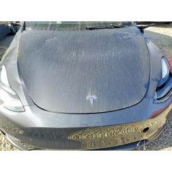 2023 TESLA MODEL Y 7SAYGDEF4PF979359 76608125