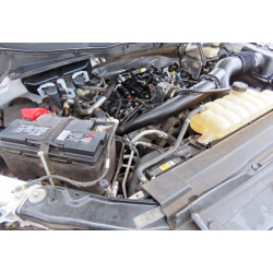 2022 FORD F150 1FTEW1EP7NKD51600 79050805