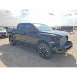2024 NISSAN TITAN PRO- 1N6AA1ED9RN113154 77374625