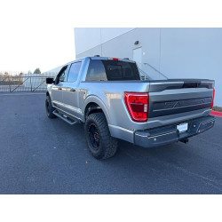 2023 FORD F150 1FTFW1E52PKD07025 41624216