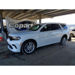 2025 DODGE DURANGO 1C4RDJDG4SC547640 46232176