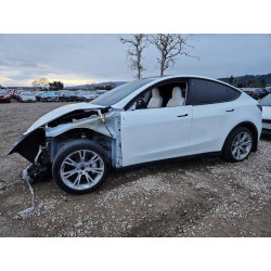 2023 TESLA MODEL Y 7SAYGDEE0PF739863 98970015