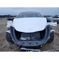 2023 TESLA MODEL Y 7SAYGDEE0PF739863 98970015