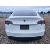 2023 TESLA MODEL Y 7SAYGDEE0PF739863 98970015