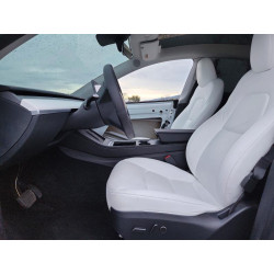 2023 TESLA MODEL Y 7SAYGDEE0PF739863 98970015