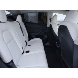 2023 TESLA MODEL Y 7SAYGDEE0PF739863 98970015