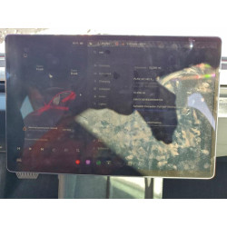 2024 TESLA MODEL 3 5YJ3E1EB2RF809724 96135495