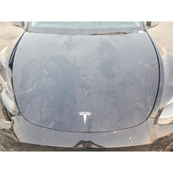 2024 TESLA MODEL Y 7SAYGDED0RF095193 74507055