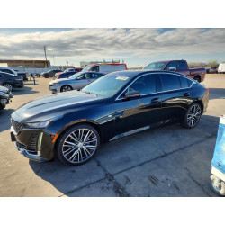 2021 CADILLAC CT5 1G6DX5RK9M0125280 42018146