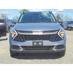 2025 KIA SPORTAGE 5XYK3CDF8SG289240 79565015