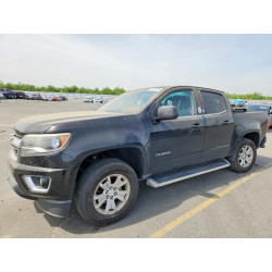 2020 CHEVROLET COLORADO 1GCGSCEN2L1219295 48172716