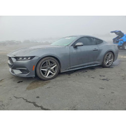 2024 FORD ALL Models 1FA6P8TH5R5138239 99737415