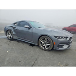 2024 FORD ALL Models 1FA6P8TH5R5138239 99737415