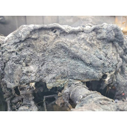 2025 TOYOTA TUNDRA 5TFLA5BC6SX003638 78120685