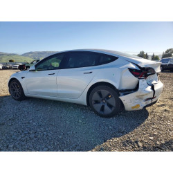 2021 TESLA MODEL 3 5YJ3E1EA0MF066688 79960165