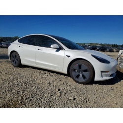 2021 TESLA MODEL 3 5YJ3E1EA0MF066688 79960165