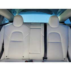 2021 TESLA MODEL 3 5YJ3E1EA0MF066688 79960165