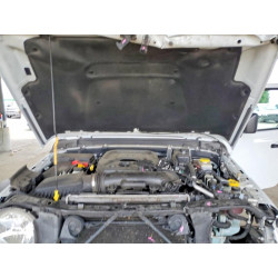 2025 JEEP WRANGLER 1C4PJXDN0SW501075 49089046