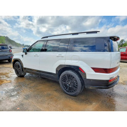 2025 HYUNDAI SANTA FE 5NMP5DG14SH038985 47813166