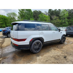 2025 HYUNDAI SANTA FE 5NMP5DG14SH038985 47813166