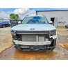 2025 HYUNDAI SANTA FE 5NMP5DG14SH038985 47813166