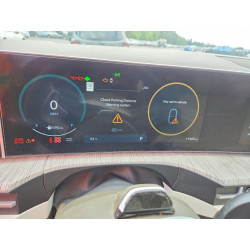 2025 HYUNDAI SANTA FE 5NMP5DG14SH038985 47813166