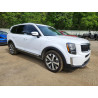 2022 KIA TELLURIDE 5XYP34HCXNG308029 48826496