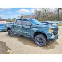 2025 CHEVROLET SILVERADO 3GCUKCEDXSG391682 79094155