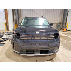 2024 HYUNDAI SANTA FE 5NMP4DGL8RH065640 48505496