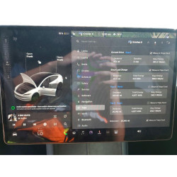 2025 TESLA MODEL 3 5YJ3E1EA3SF985517 79748875