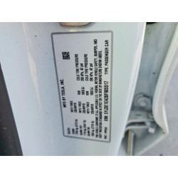 2025 TESLA MODEL 3 5YJ3E1EA3SF985517 79748875