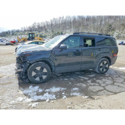 2024 HYUNDAI SANTA FE 5NMP2DG19RH008545 46114496