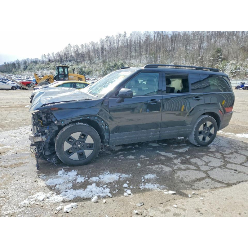 2024 HYUNDAI SANTA FE 5NMP2DG19RH008545 46114496