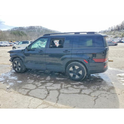 2024 HYUNDAI SANTA FE 5NMP2DG19RH008545 46114496