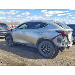 2022 LEXUS NX 2T2AGCEZ2NC009350 46261806