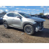 2022 LEXUS NX 2T2AGCEZ2NC009350 46261806