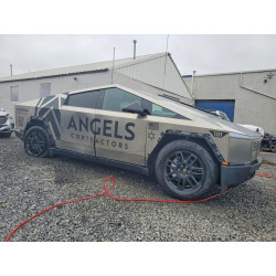 2025 TESLA CYBERTRUCK 7G2CEHED7SA063913 48334376