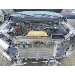 2020 FORD F150 1FTEW1C50LFA25547 48174606
