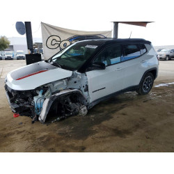 2025 JEEP COMPASS 3C4NJDDN8ST533297 48355436