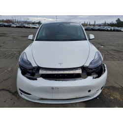 2025 TESLA MODEL Y 7SAYGDED0SF276431 77735985
