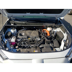 2025 TOYOTA RAV4 JTMB6RFV6SJ079900 46935236