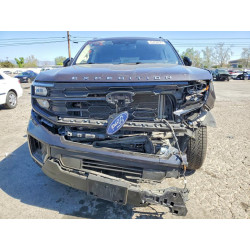 2025 FORD EXPEDITION 1FMJK1J83SEA10161 45450226