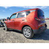 2022 KIA SOUL KNDJ23AU5N7810319 45880516