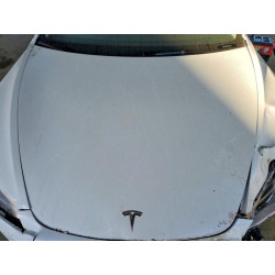 2024 TESLA MODEL 3 5YJ3E1EB7RF821187 45641246
