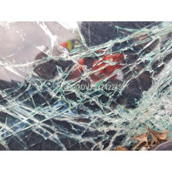 2025 NISSAN SENTRA 3N1AB8DV3SY242215 97668285