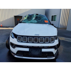 2025 JEEP COMPASS 3C4NJDCN9ST507017 48963526