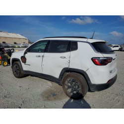 2025 JEEP COMPASS 3C4NJDBN9ST577599 79816195